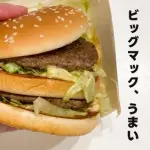 【悲報】ビッグマックの綺麗な食い方ｗｗｗｗｗｗｗｗｗｗ