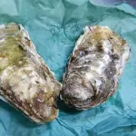 【悲報】「海のミルク」「森のバター」←こういうのwwwwwwwwww