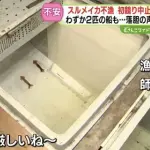 【悲報】スルメイカさん、不漁すぎてガチでとんでもないことになるｗｗｗｗｗｗｗｗｗｗ