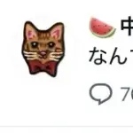 【悲報】中川翔子さん(41)主語0ポストをしたせいで過去を掘り返され炎上ｗｗｗｗｗｗｗｗｗ