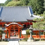 【悲報】京都の不明外国人さん、なんか駄目だったっぽい・・・・・・・・・
