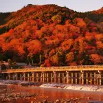 【悲報】京都で行方不明のアメリカ人男性さん、山岳地帯で死亡確認・・・・・・・・・