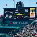 交流戦の「予備日」が尽きたらマジでどうなんの?