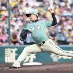 【阪神】岩崎優「抑えられたので良かった」１回１安打無失点　ピンチ招くも浅村を見逃し三振斬り