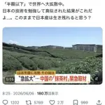 【悲報】愛国者さん「抹茶が中国に盗まれました!このままでは中国産になる」wwwwwwwwww