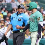 この阪神藤川監督の森下退場に対するコメントがよく意味がわからないんやが