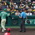 阪神森下翔太が暴言退場　11球団ファン「森下が悪い反省しろ」阪神ファン