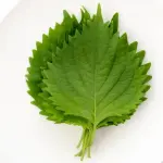 美味くて草ってなった草