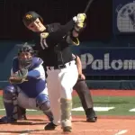 ホークス野手打率（交流戦）