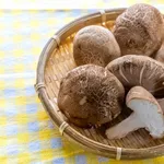 『しいたけ』とか言う出汁になるしか能ののないキノコ