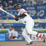 西川史礁(M) 打率.313(230-72) 5本 24打点 出塁率.373 OPS.808←率直な感想ｗｗｗｗｗｗｗｗ