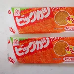 （ヽ´ん`）「ビッグカツはうまい」