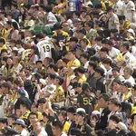 熱い阪神ファン、今夜もリプレイ検証に怒りのブーイングｗｗｗｗ