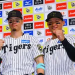 結局タイガースの外野はレフト森下、センター近本、ライト佐藤が最も丸いよな
