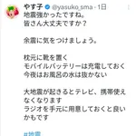 【悲報】やす子、地震発生から5分後に防災呼びかけ→偽善的だと叩かれる