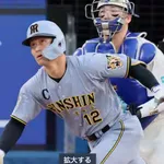 阪神タイガース、交流戦が終わりイキイキとしてしまうwwwwwww