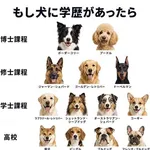【悲報】有識者さん「犬種による知能のtier表作った」ｗｗｗｗｗｗｗｗｗｗ