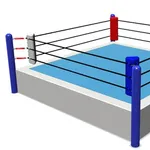 【悲報】プロレスラーって「俳優」なんじゃないの？ｗｗｗｗｗｗｗｗｗｗ