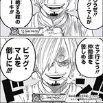 【画像】ワンピースさん、2週連続で同じ絵繰り返すのにハマってしまう………………