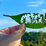 【画像】すごい切り絵が発見される