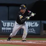 SB海野捕手「サイン盗みしてるとは言ってない。『紛らわしい動きはやめてくれ』と言っただけです」