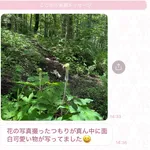 猫の写真をアップした女、驚異の130万いいね
