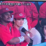 【悲報】広島東洋カープのベンチで怪しい行動