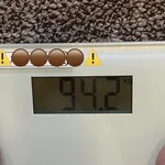 【衝撃】坂口杏里さん、現在の体重94.2kgでもうすぐ100キロへｗｗｗｗｗｗｗｗｗｗ