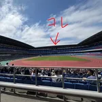 【悲報】日産スタジアムさんのパブリックビューイング、画面が小さすぎて炎上ｗｗｗｗｗｗｗｗｗｗ