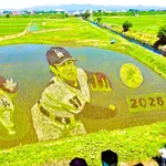 【MLB】巨大な大谷選手とデコピンの田んぼアート　見物客で田園地帯に渋滞、海外からも