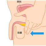 【悲報】小便「ジョロロ」ワイ「もう出ないか？」ちんこ「出ないで」ｗｗｗｗｗｗｗｗｗｗ