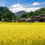【困惑】農業の効率化と大規模化、ガチで賛成か反対か割れる・・・・・・・・・