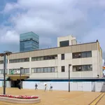 【悲報】松戸ってなんでヤベェ奴が集まってんの？ｗｗｗｗｗｗｗｗｗｗ