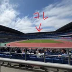 【画像】日産スタジアムのパブリックビューイング、視力が試されるｗｗｗｗｗｗ