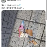 【悲報】女さん「アイスを落としたのにサーティワンは取り替えてくれなかった！！」ｗｗｗｗｗｗｗｗｗｗ