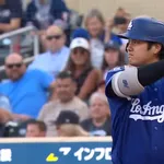 大谷翔平　.296 17本 44点 .976