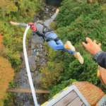【悲報】パパさん、ちょっと無様な死に方をしてしまう・・・・・・・・・