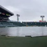 甲子園の阪神－ヤクルトが雨天中止