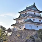 和歌山県に転勤決まったんやが