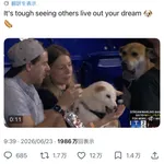 【朗報】日本の柴犬、ガチでアメリカでバズりまくるｗｗｗｗｗｗｗｗｗｗｗｗｗｗｗｗｗｗwｗwｗｗｗｗｗｗ