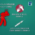 【悲報】エボラ出血熱、フランスで初確認・・・・・・・・・