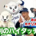 【6/26】猫==鷹===公=檻==-/鴎/========鷲