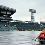 中止が増えて近本と石井が復帰してからの試合が増えたほうがいいよな