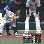 長谷川信哉、同じ箇所に2連自打球……　負傷交代