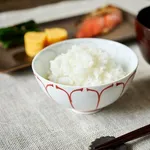 【困惑】専門家さん「1日の炭水化物はご飯茶碗1杯が適量、残りは肉や野菜を食べろ」・・・・・・・・・