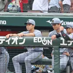 阪神ファン、集合（無能采配）