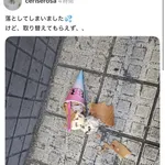 【画像】女さん「アイスを落としたのにサーティワンは取り替えてくれなかった！！」