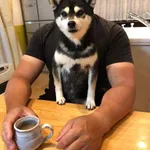 https://i.imgur.com/ここに適当なアルファベット入れて画像貼ってけ.png