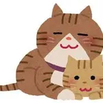 【髪質】猫っ毛のシャンプー【柔・細・少】