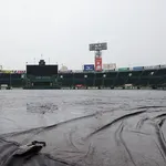 【悲報】甲子園、またまたまたまた中止wwwwwwwwwwwwwwwww